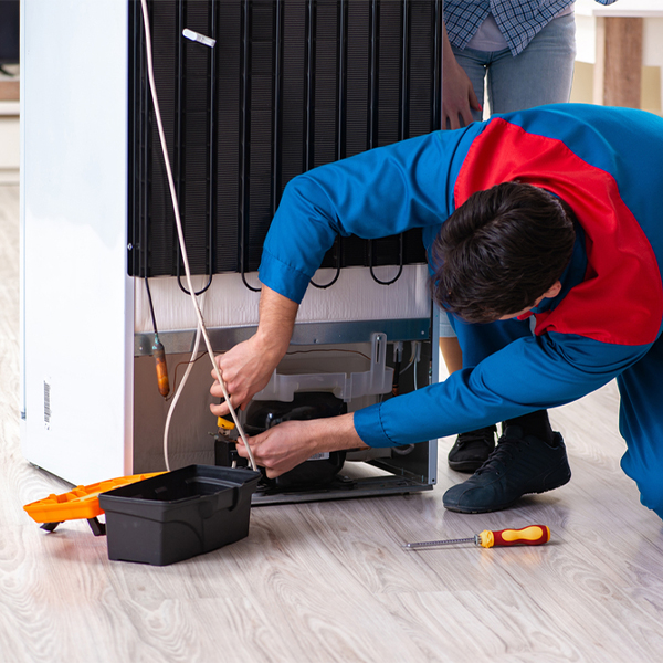 what are the common refrigerator repair services in Roy Lake